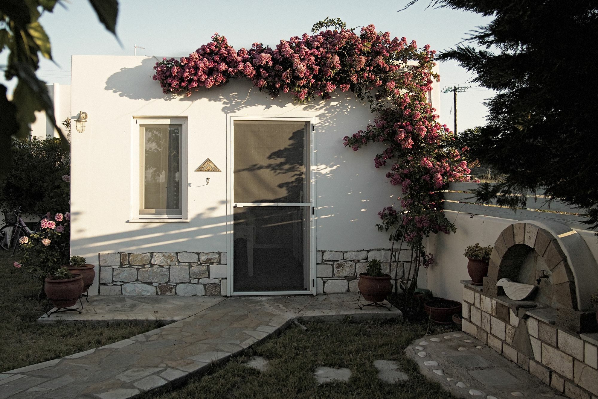 Kallisti Studios & Apartments Skyros Exteriör bild